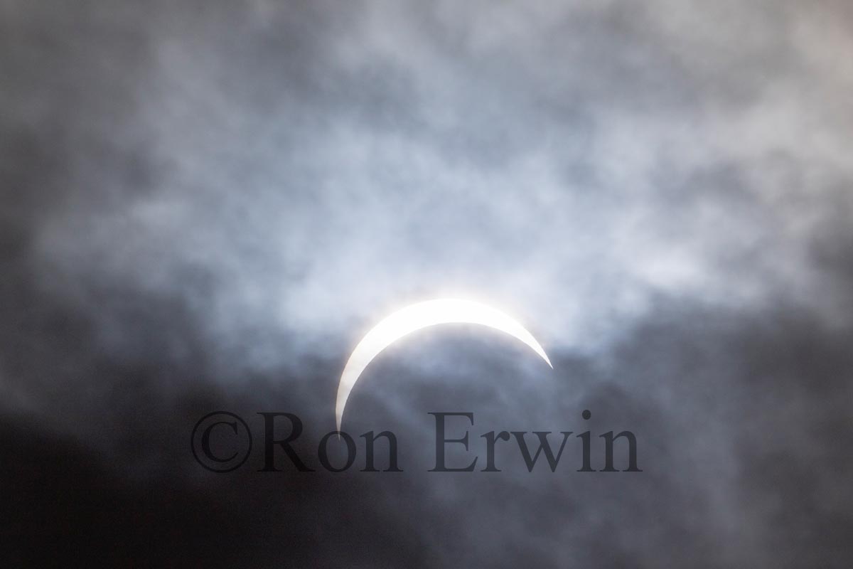 Partial Solar Eclipse