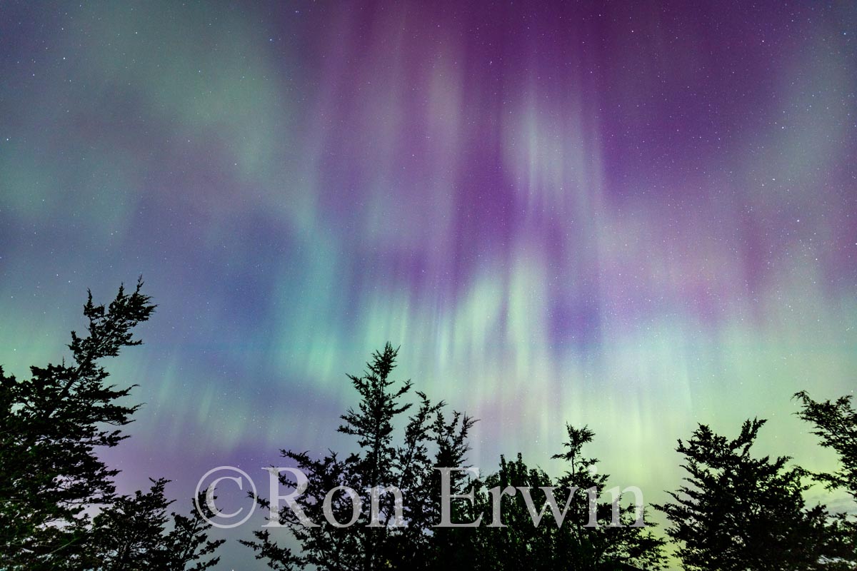 Northern Lights over Picton, ON