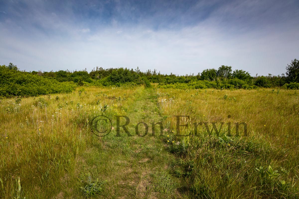 Grassland Alvar PEC