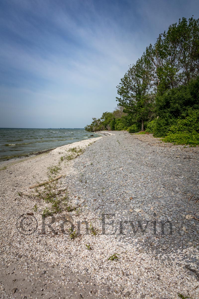 Maple Cross Coastline Reserve, PEC