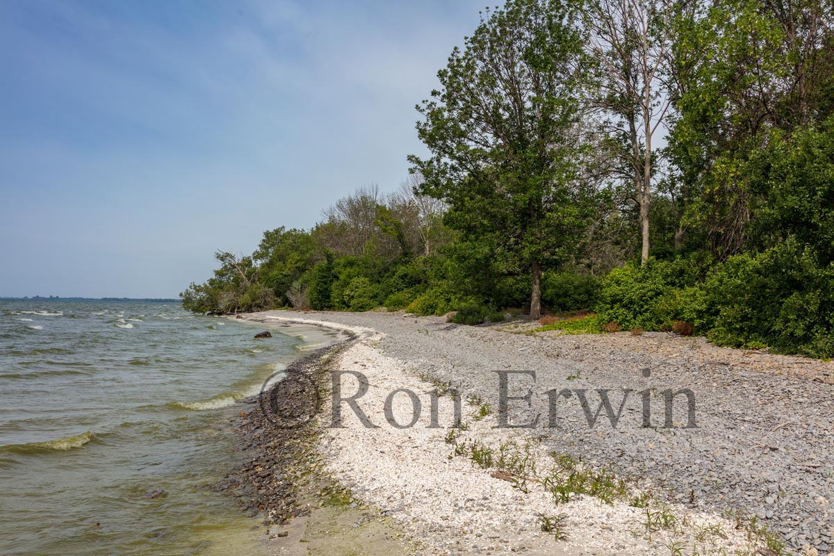 Maple Cross Coastline Reserve, PEC
