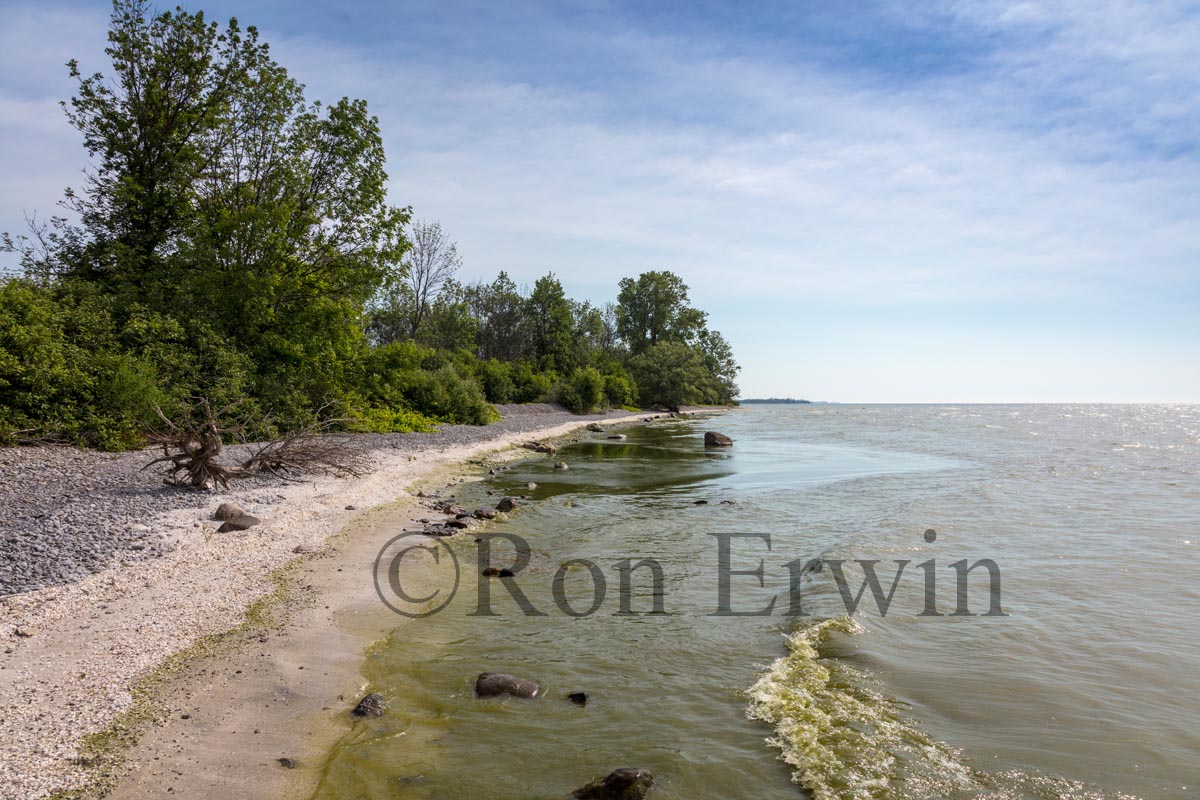 Maple Cross Coastline Reserve, PEC