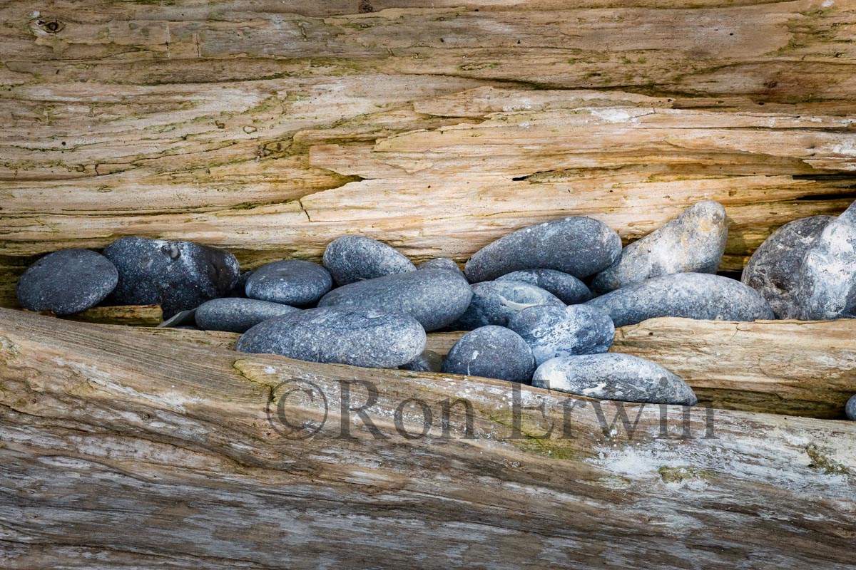 Stones & Log