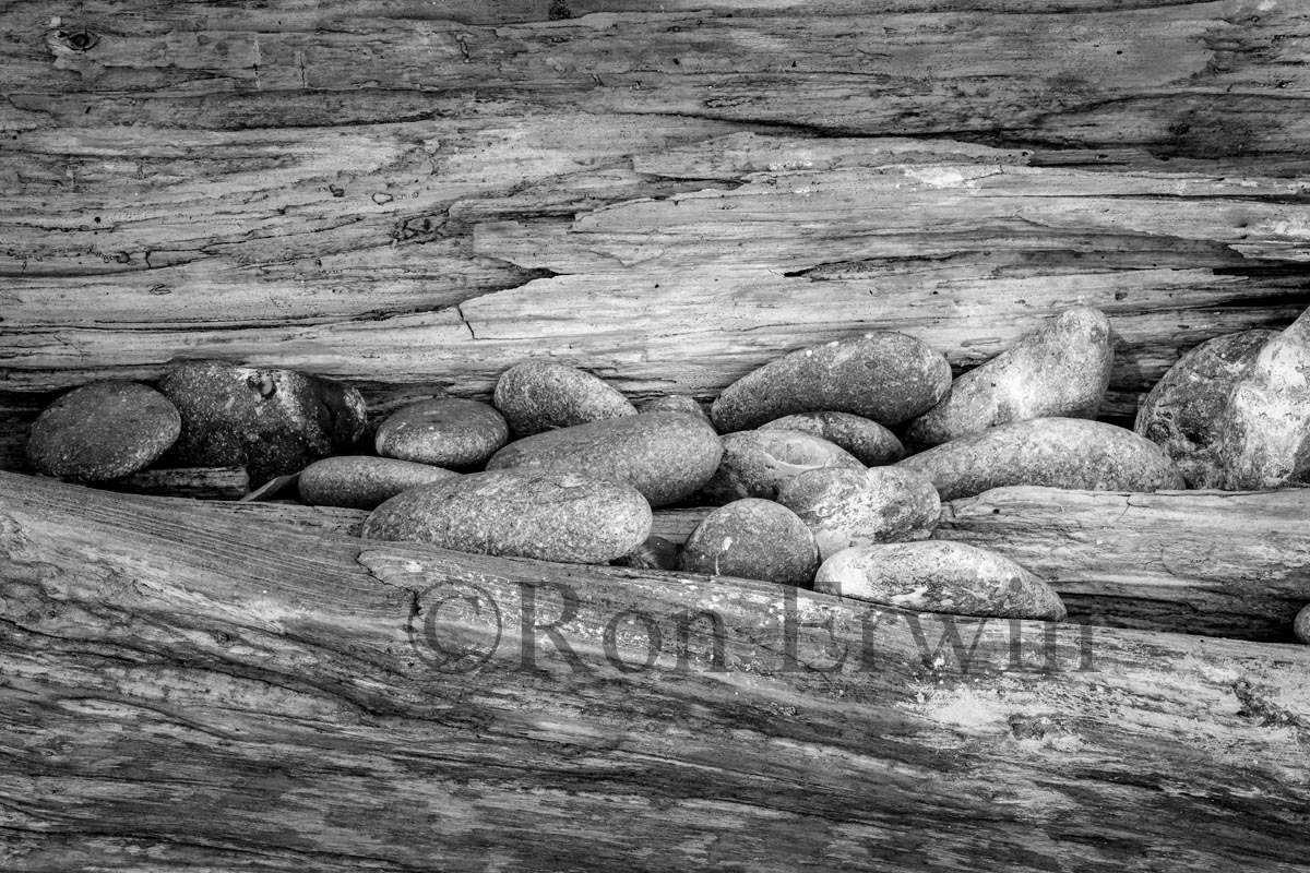 Stones & Log