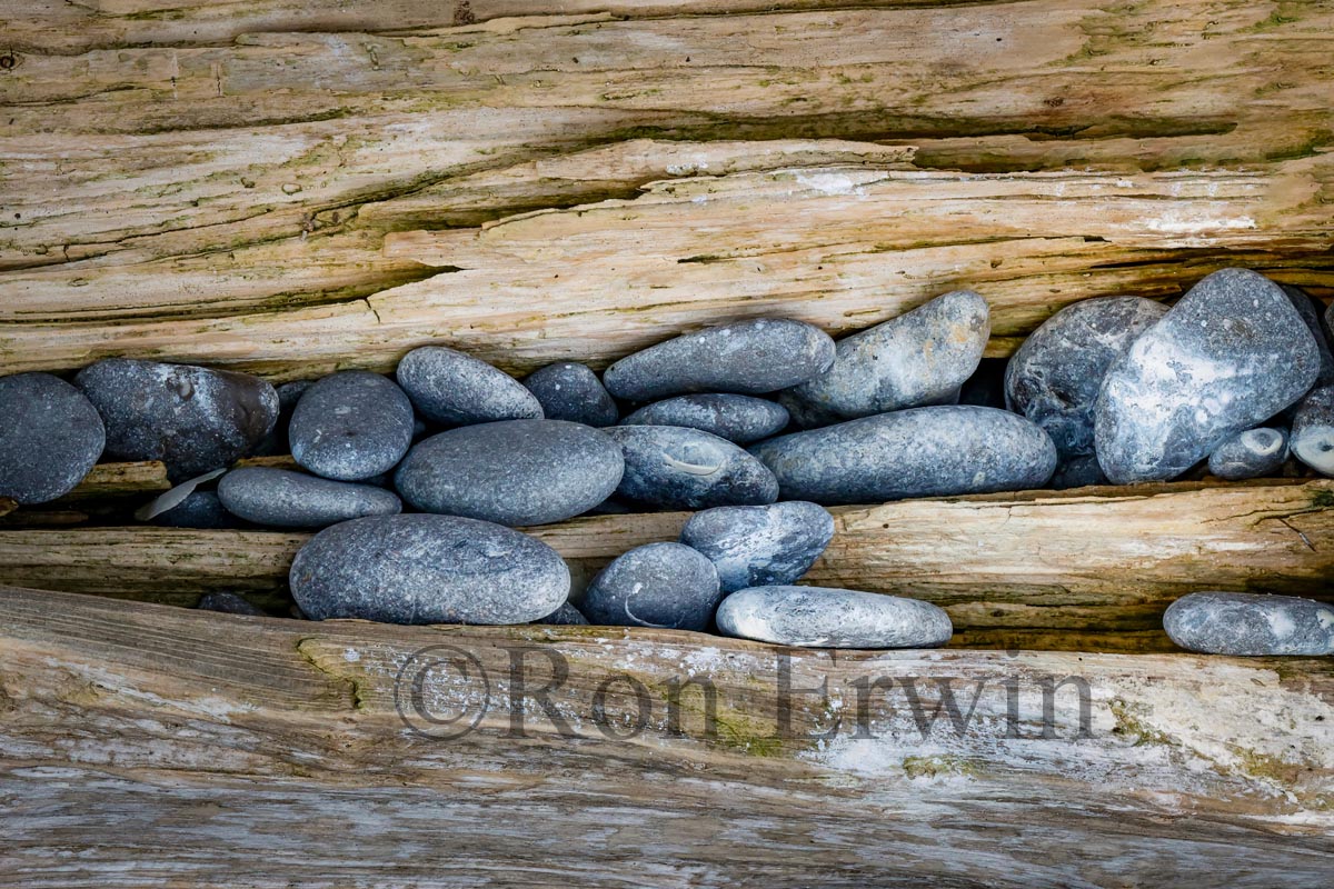 Stones & Log