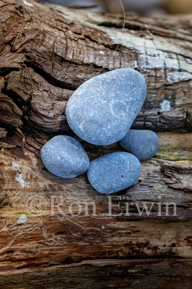 Stones & Log