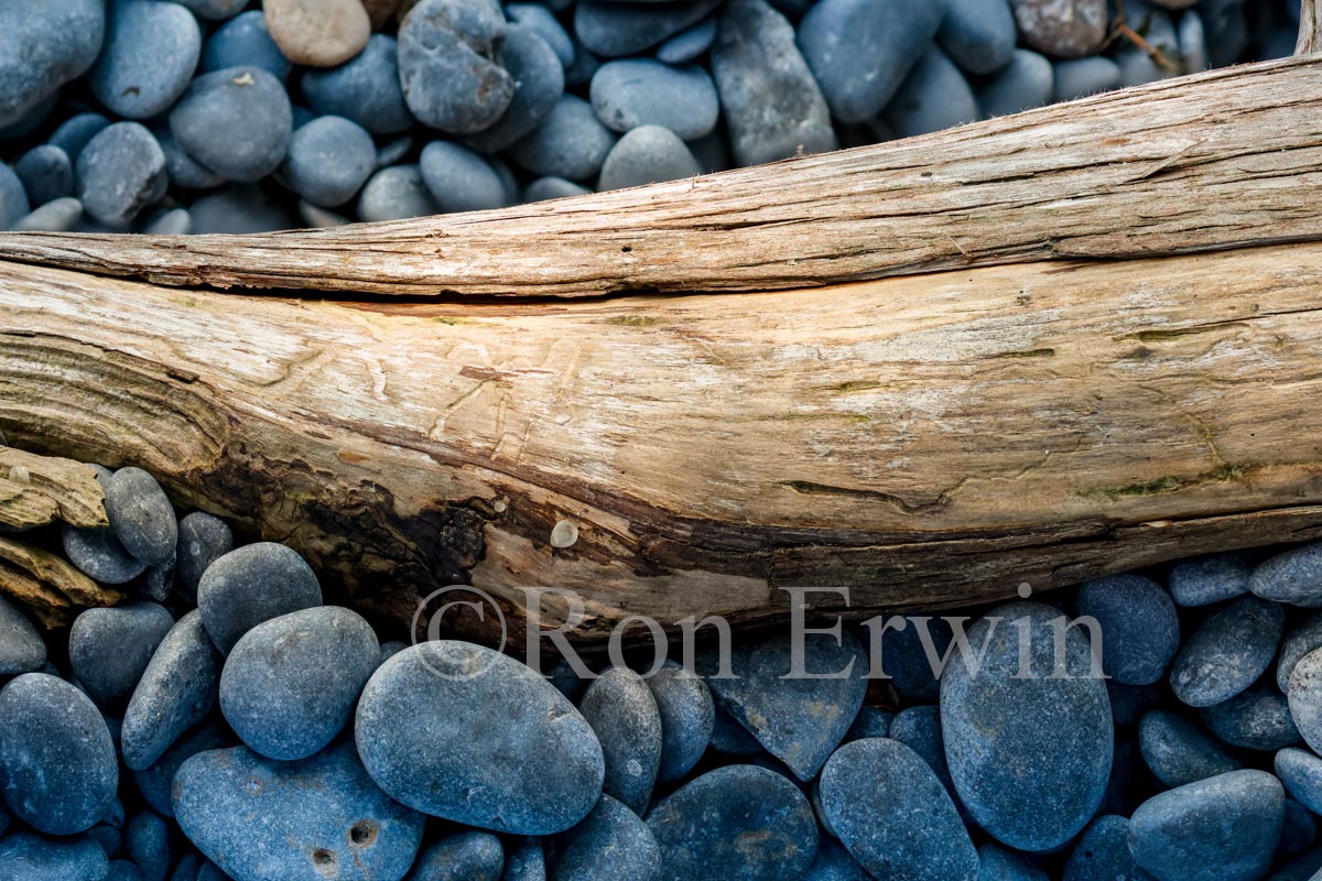 Stones & Log