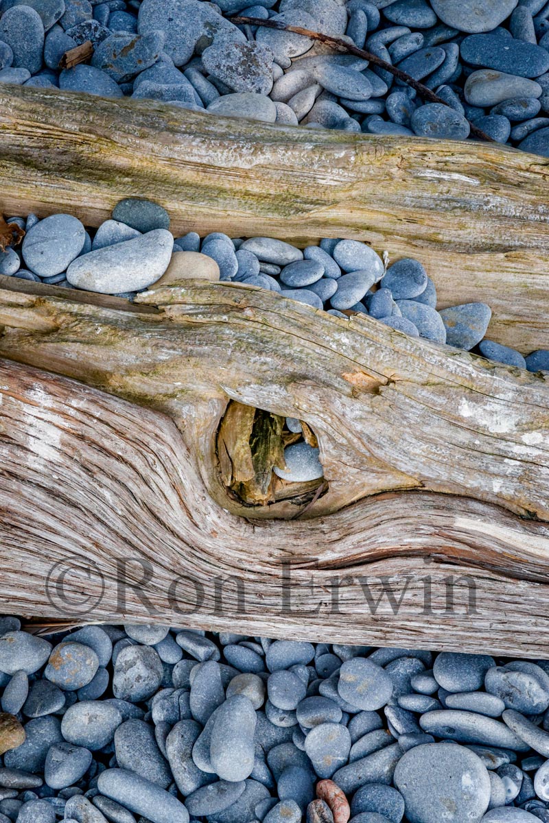 Stones & Log