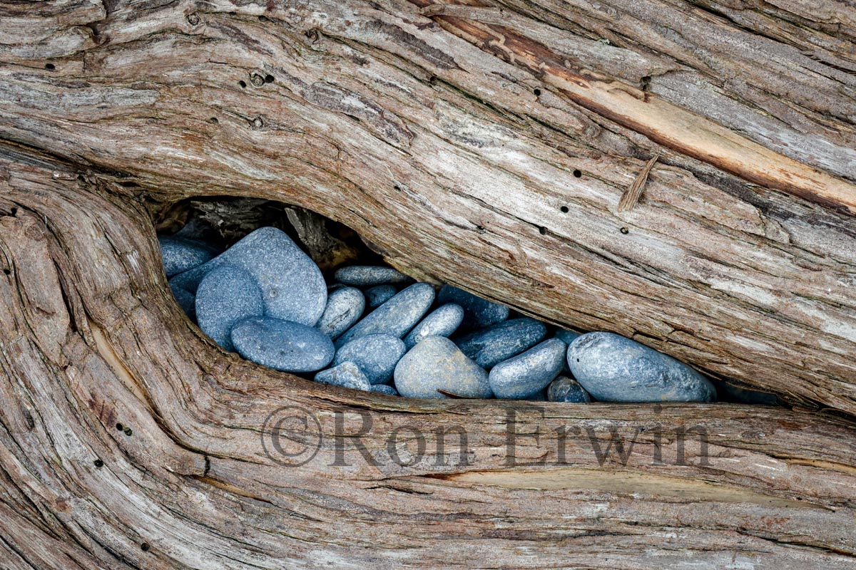 Stones & Log