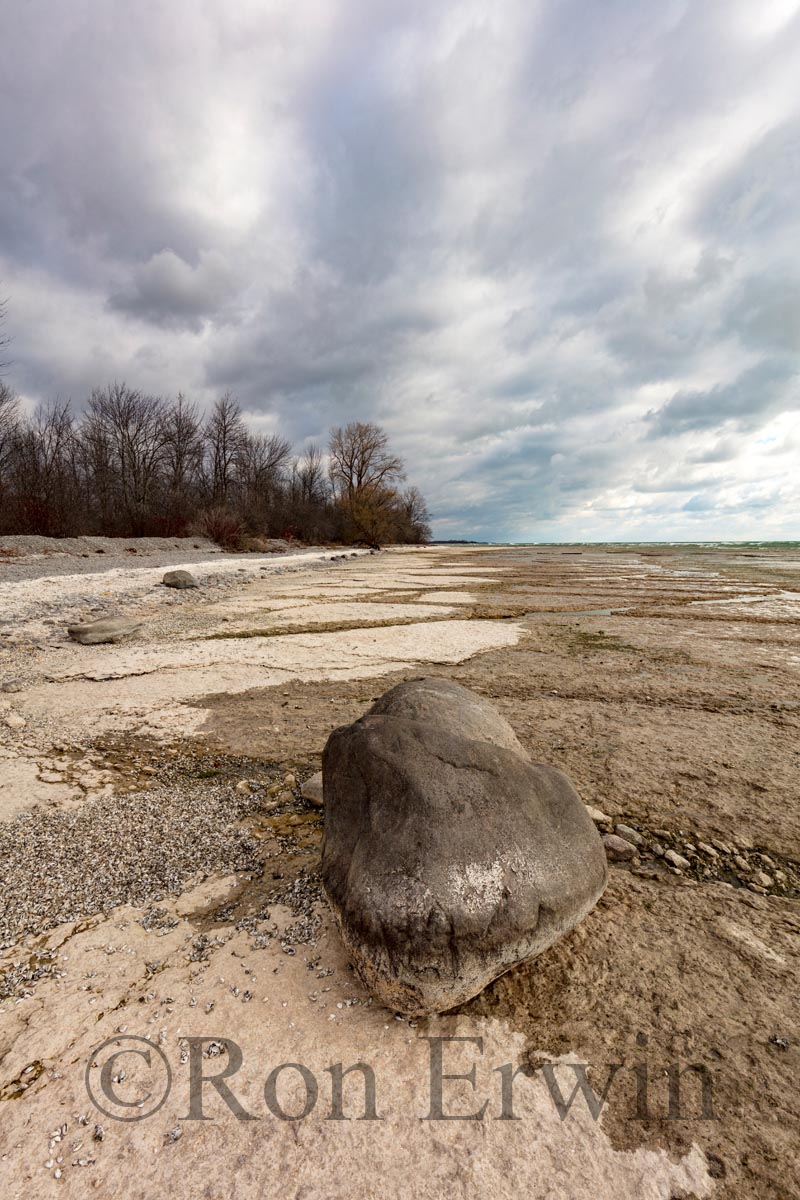 MapleCross Coastline Reserve, ON
