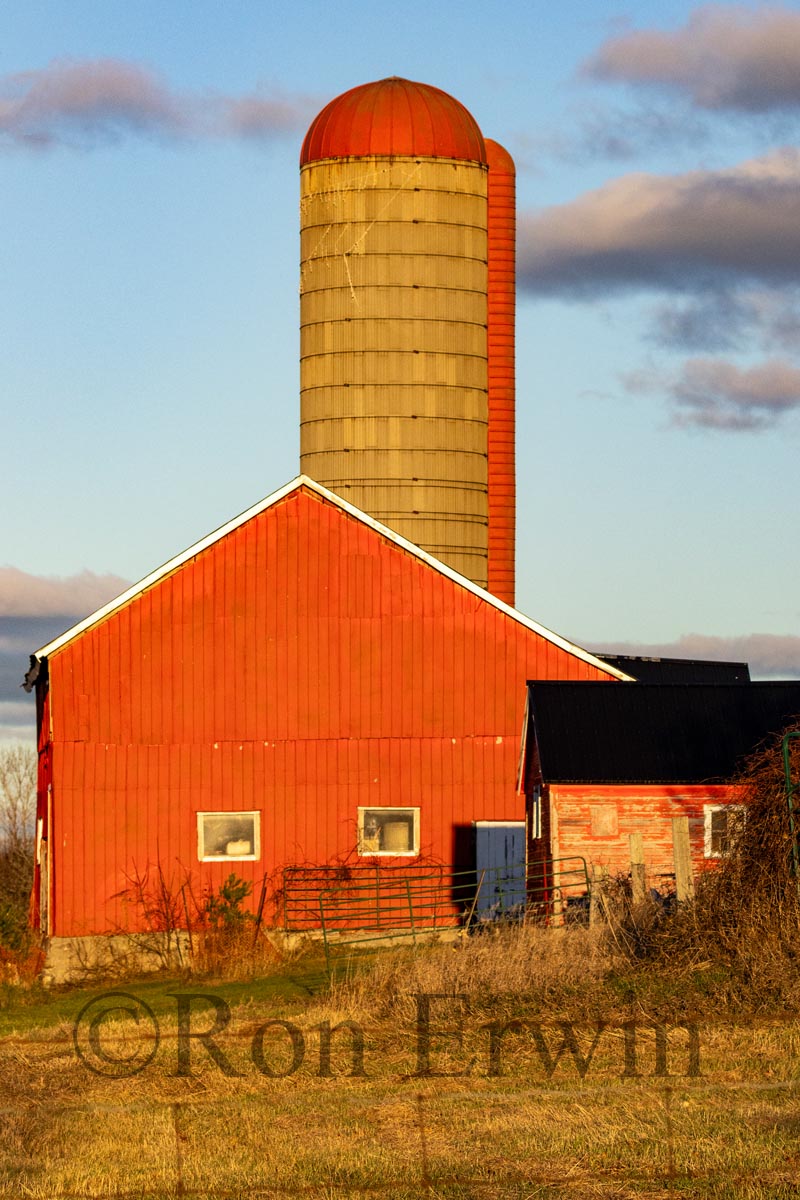 Red Barn & Silo