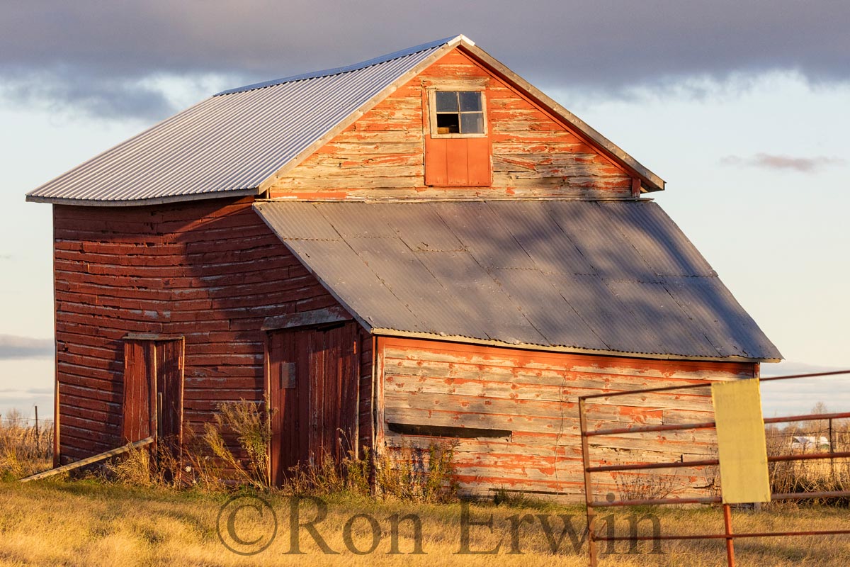Old Red Shed
