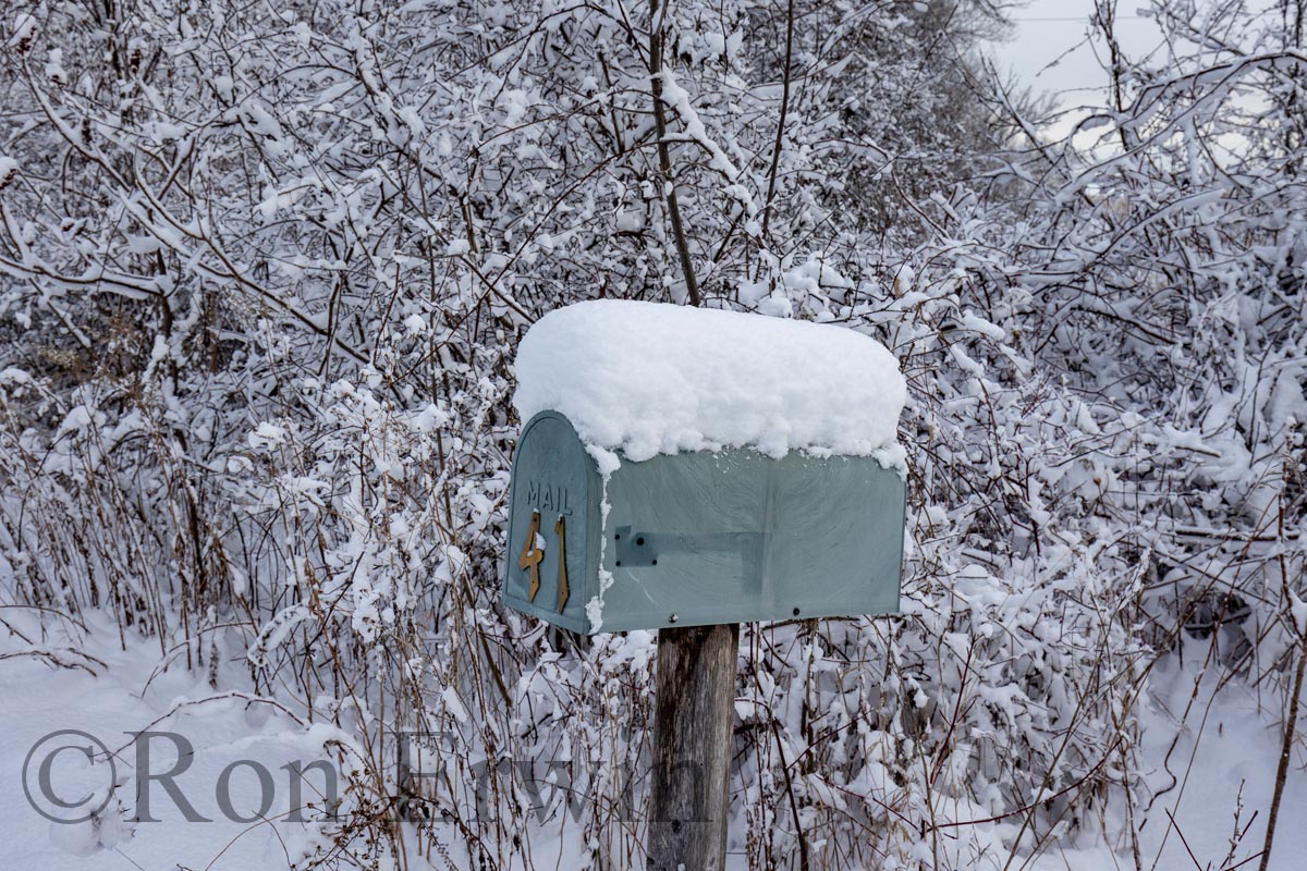Snow-covered Mailbox