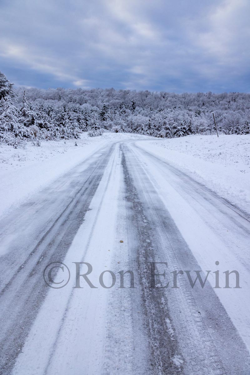 Macaulay Mountain Conservation Area, ON