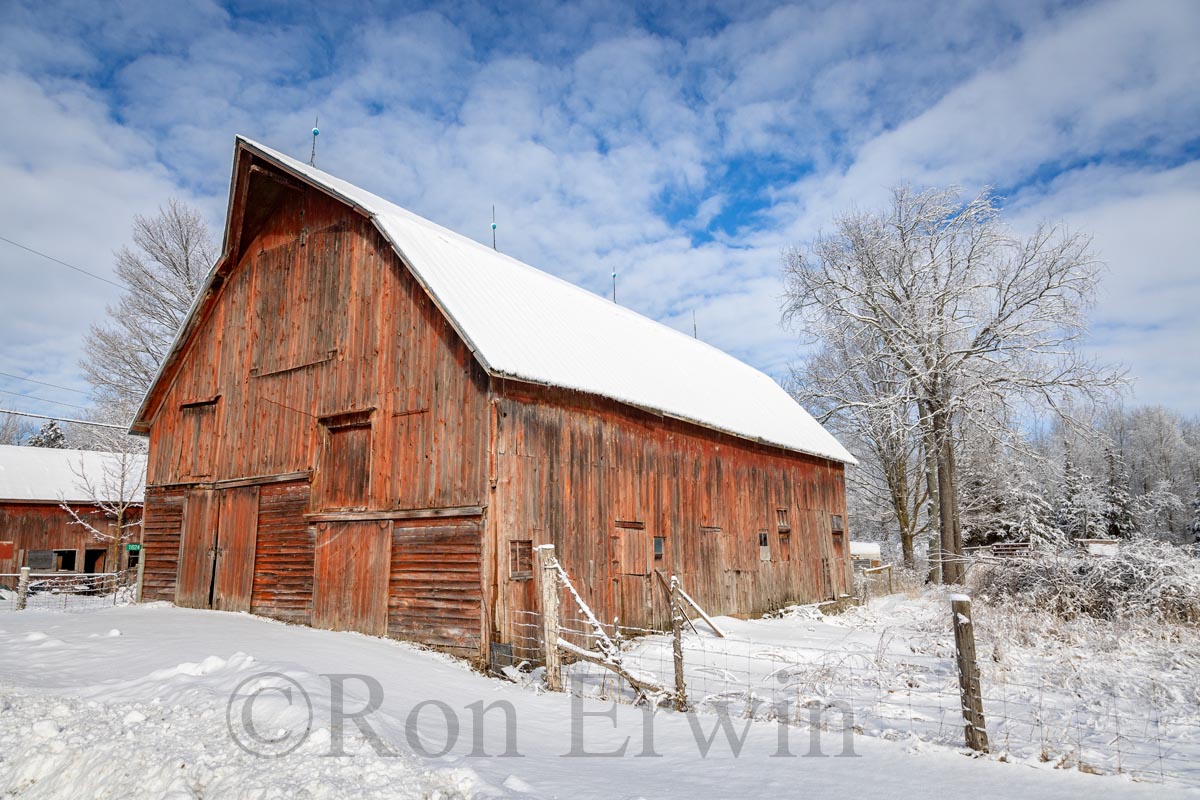 Red Barn in Winter
