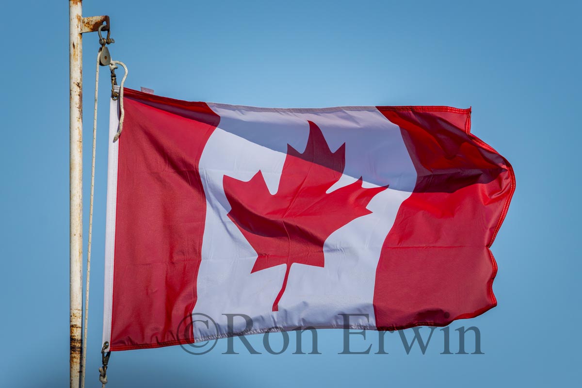 Canadian Flag