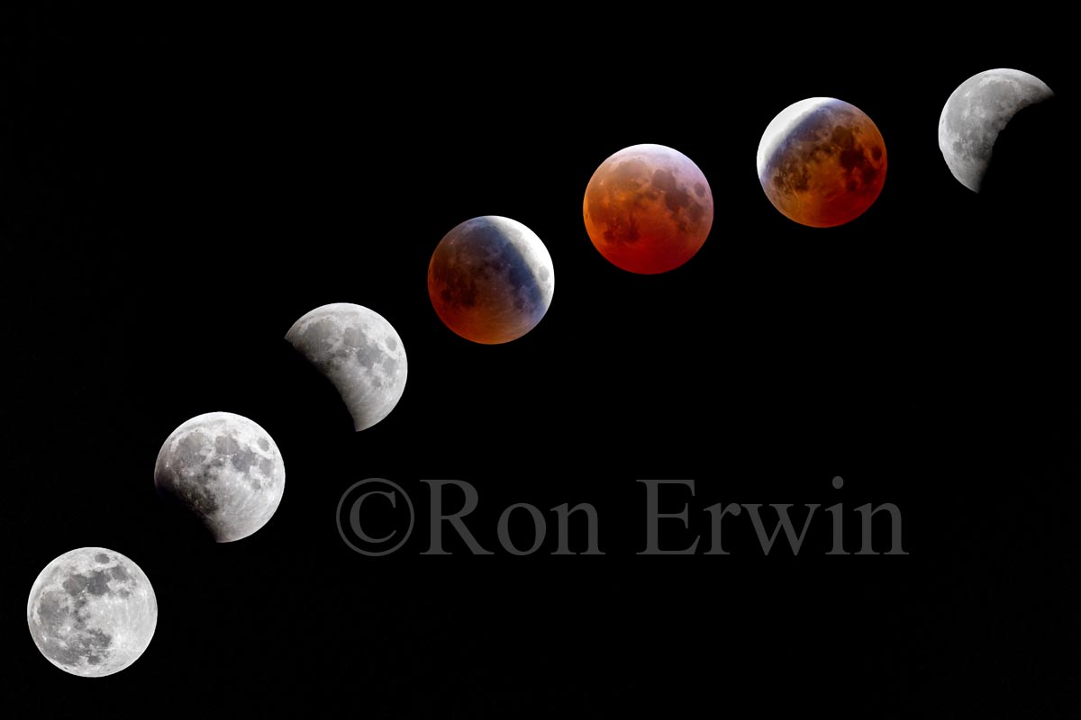 Full Moon & Lunar Eclipse