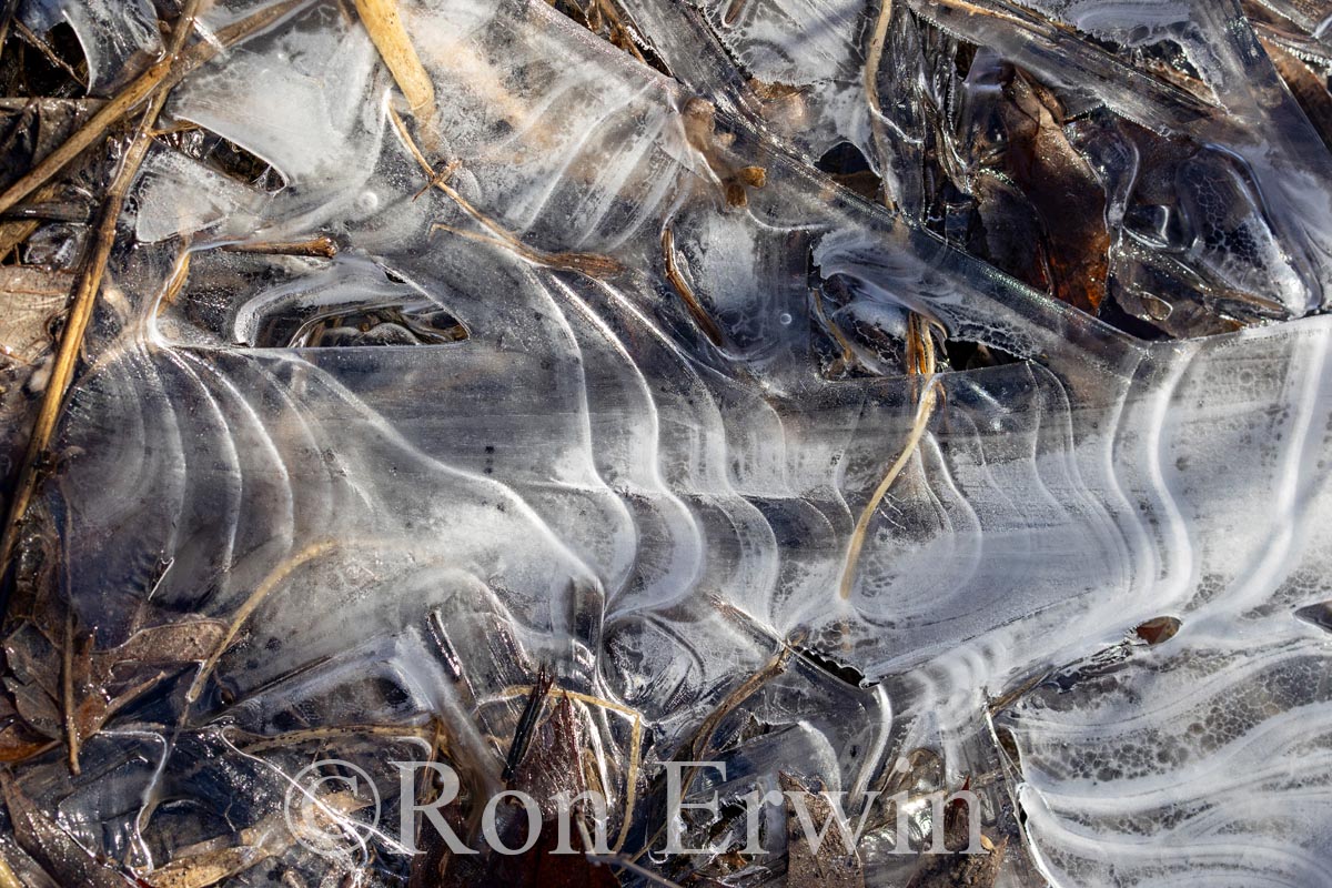Ice Patterns
