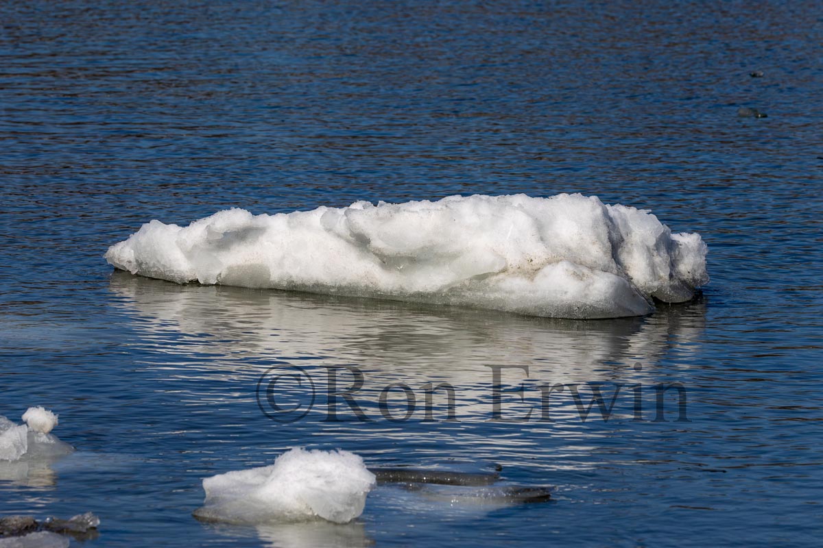Ice Floes