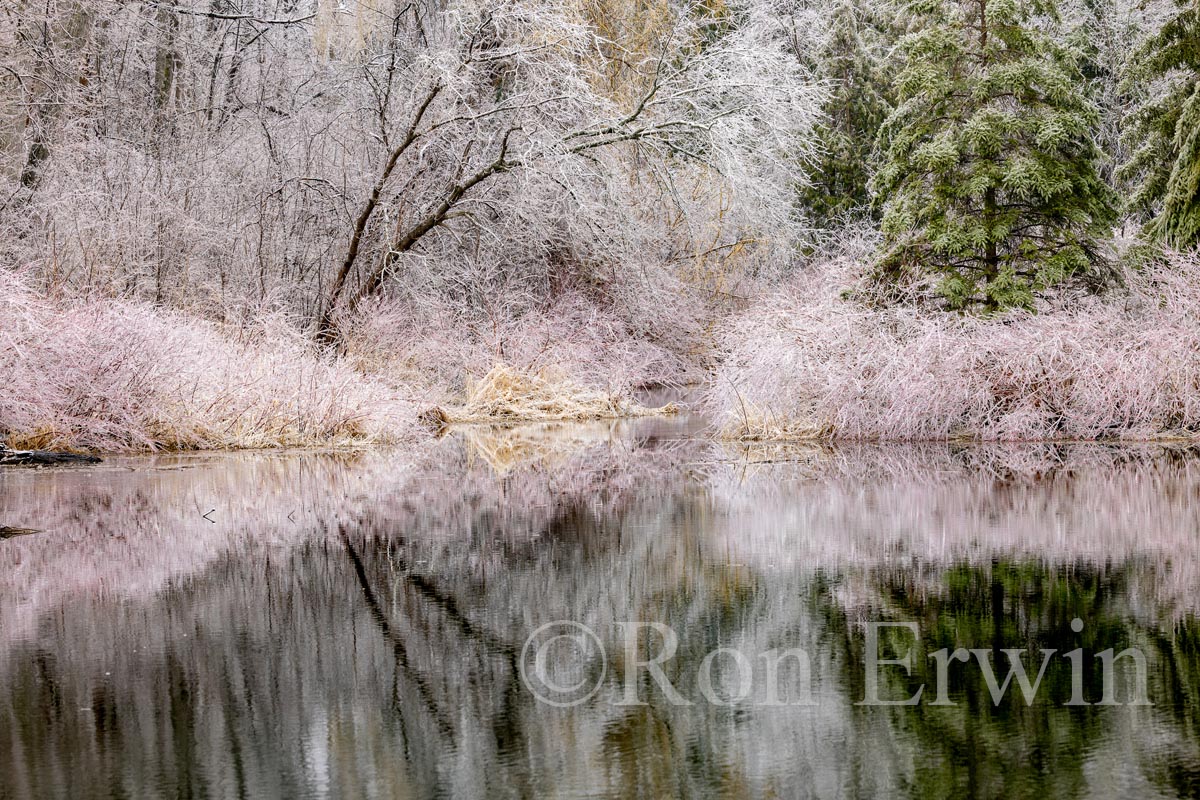 Spring Ice Storm