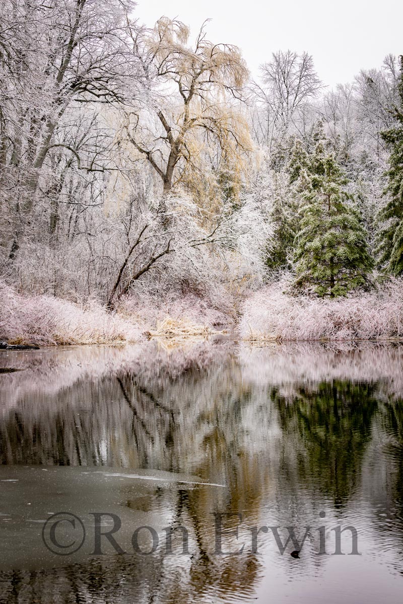 Spring Ice Storm
