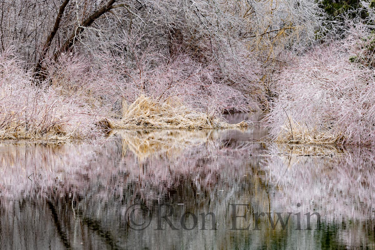 Spring Ice Storm