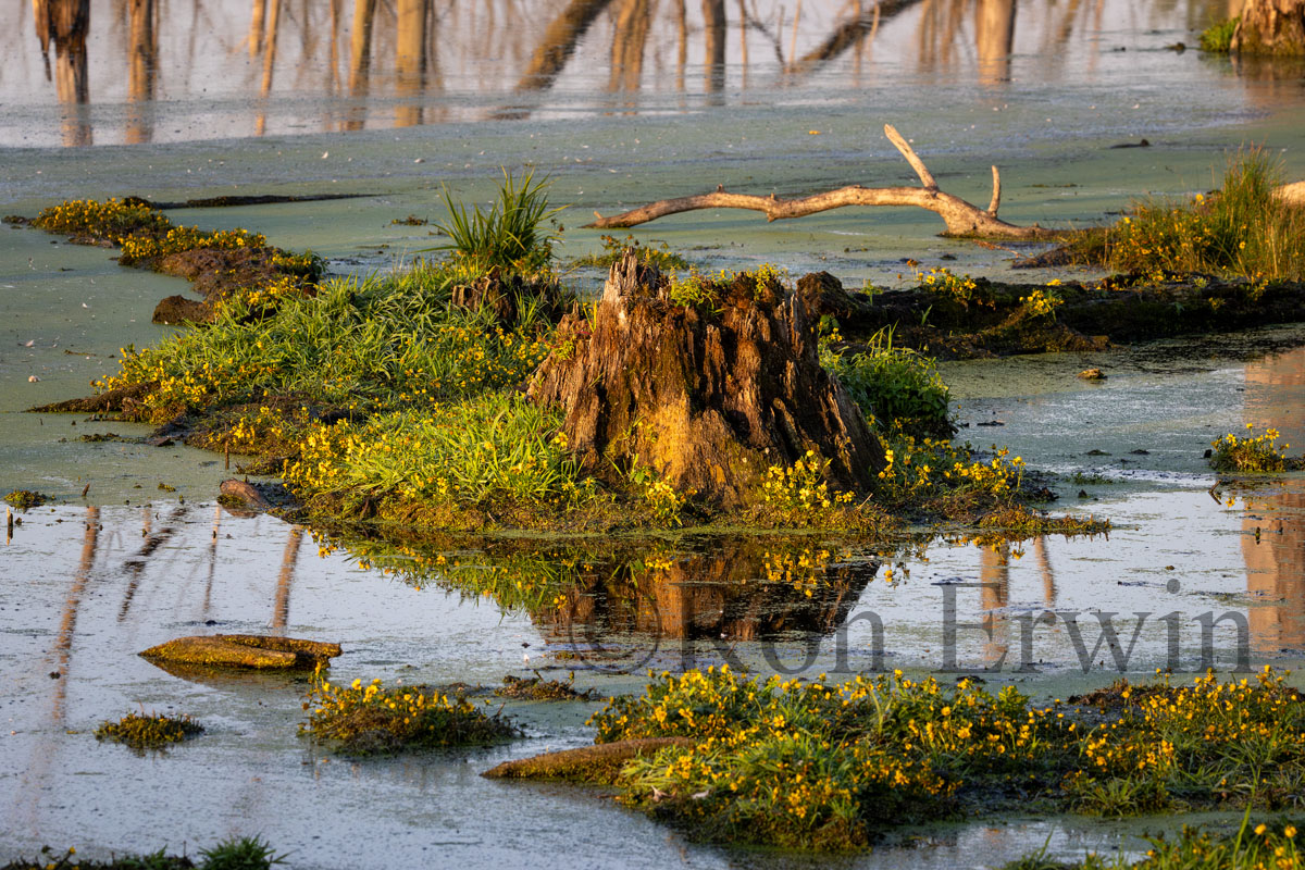 Slab Creek PEC, Ontario