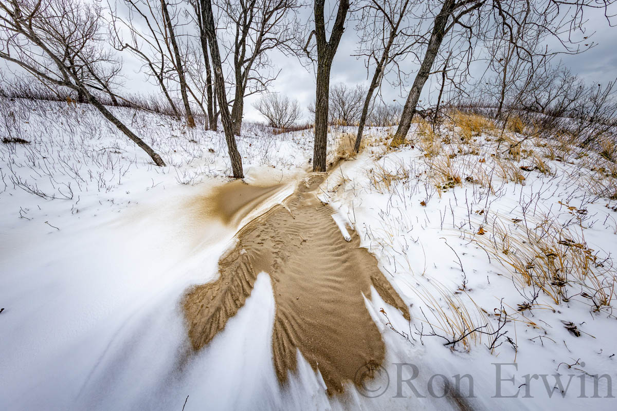 Lakeshore Beach, Sandbanks