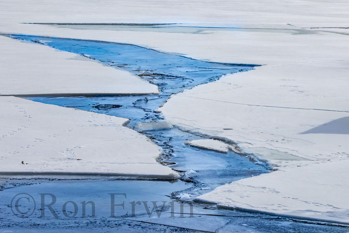 Bay of Quinte Ice