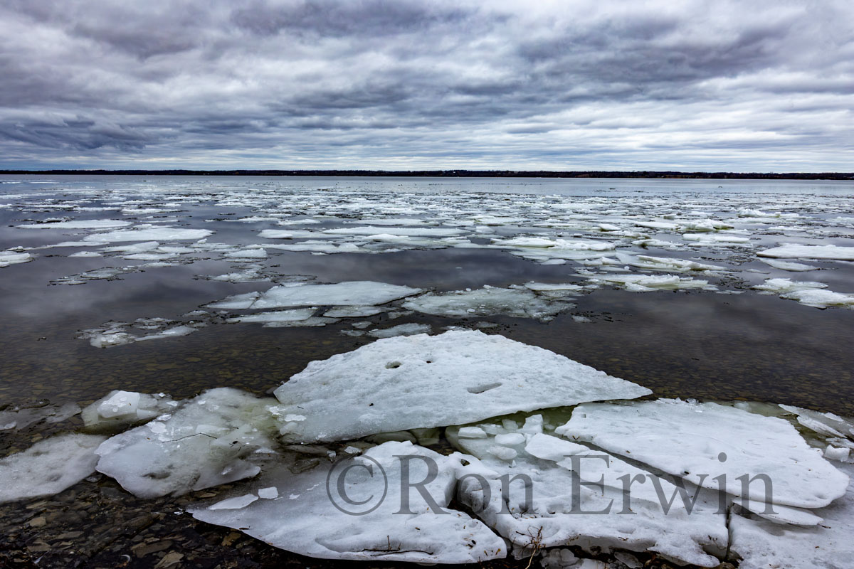 Bay of Quinte Ice