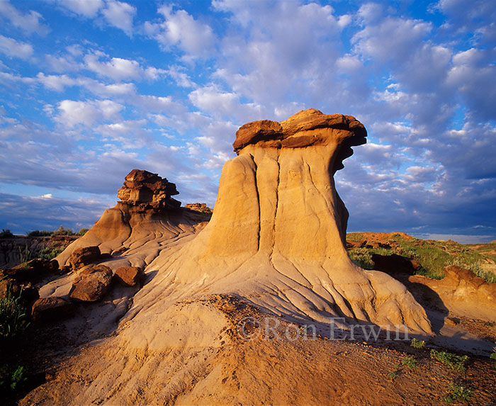 Dinosaur Provincial Park, Alberta