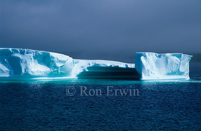 Iceberg Alley, Newfoundland and Labrador