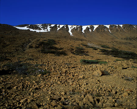 The Tablelands