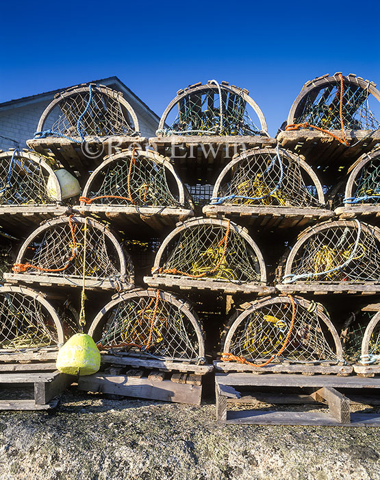 Lobster Traps