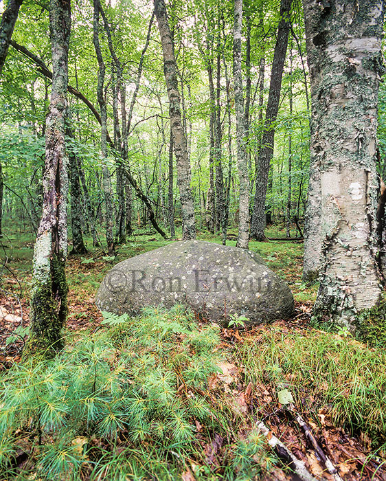 Kejimkujik National Park, Nova Scotia