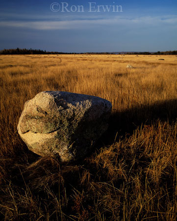 Erratics