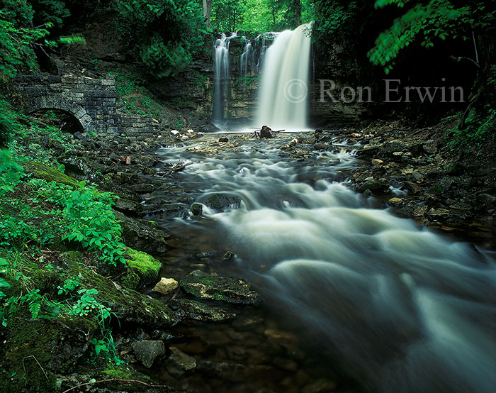 Hilton Falls