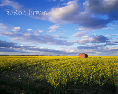 Saskatchewan Granary
